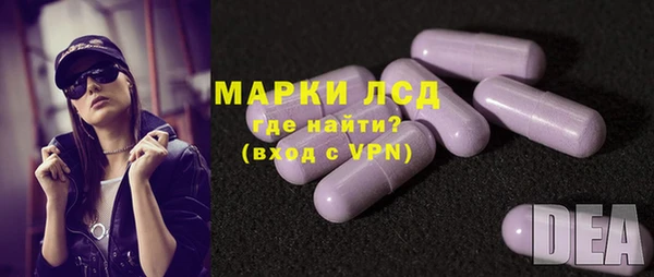 прущий лед Инсар