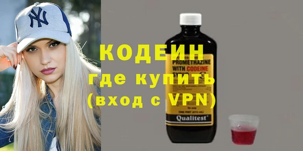 трава Инта