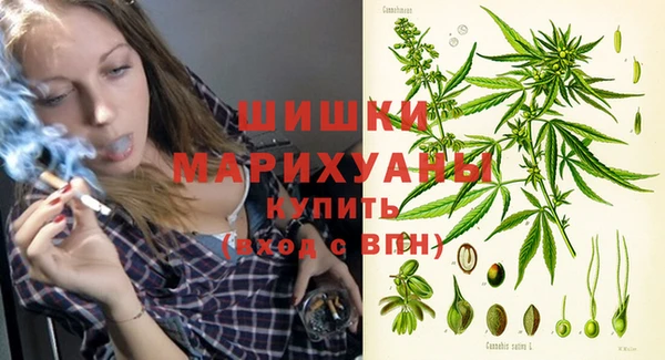 трава Инта