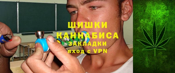 трава Инта