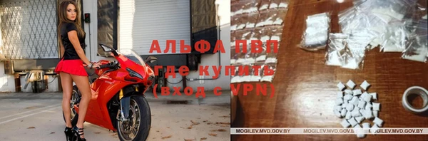 прущий лед Инсар