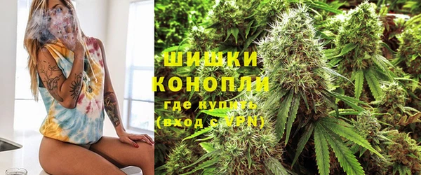 прущий лед Инсар