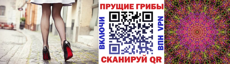 Купить где Малоархангельск Галлюциногенные грибы мицелий