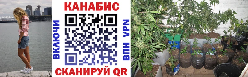 Купить закладки  Малоархангельск  Канабис SATIVA & INDICA 